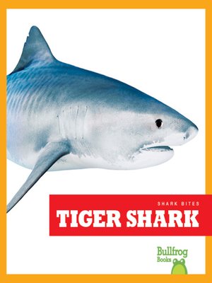 cover image of Tiger Shark